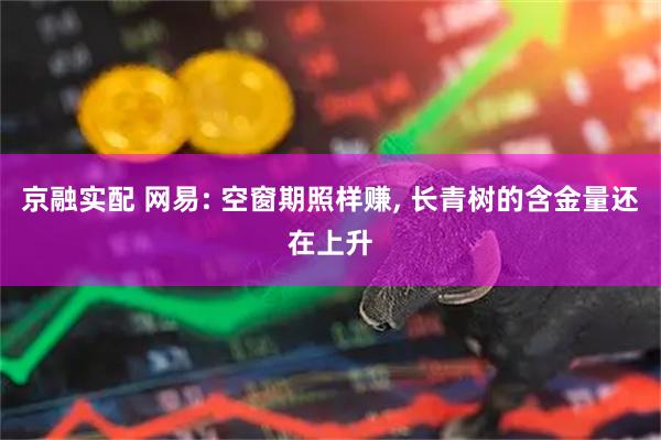 京融实配 网易: 空窗期照样赚, 长青树的含金量还在上升