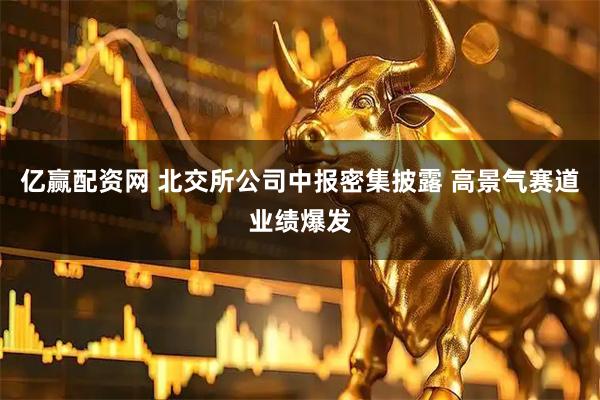 亿赢配资网 北交所公司中报密集披露 高景气赛道业绩爆发